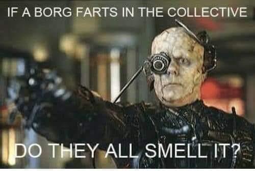 IF A BORG FARTS IN THE COLLECTIVE, DO THEY ALL SMELL IT?