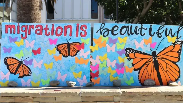 Text:
Migration is beautiful

Art: 
Butterflies of many colours 