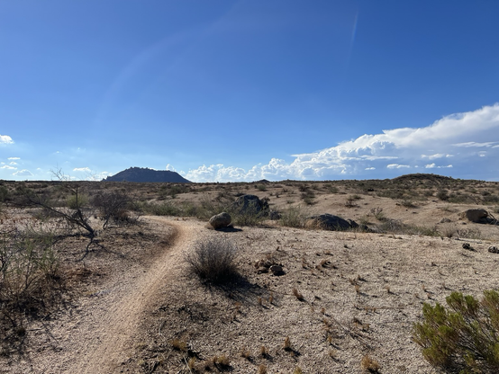 2 year old burned desert trail