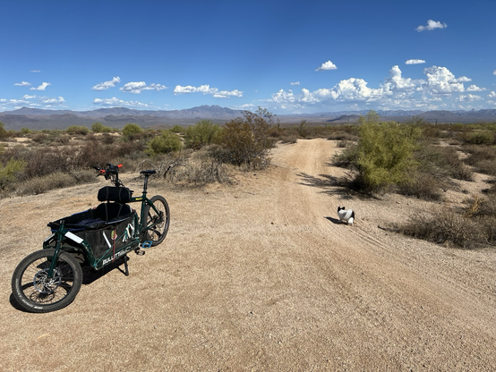 One pap and a cargo bike