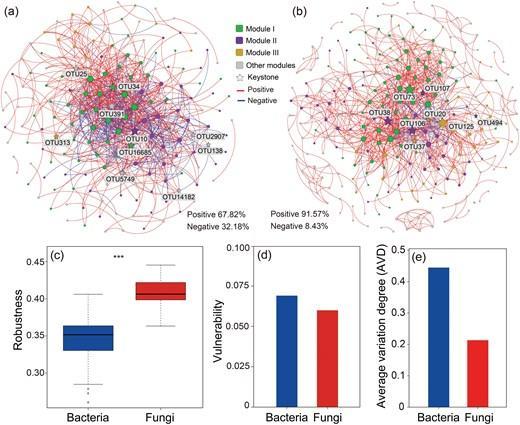 Co-occurrence network of operational taxonomic units (OTUs) for (a) bacterial and (b) fungal communities and network stability.