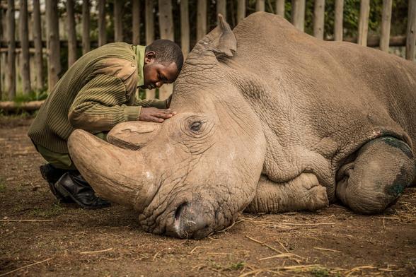 Sudan's last moments.