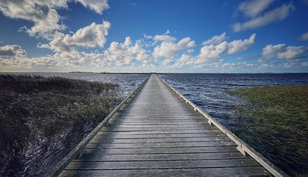 Bohlenweg über den Stadil Fjord zur Insel Hindø. Im Vordergrund ist links und rechts des Bohlenweges vom Wind gebogener Rohrkolben, am Horizont ist Hindø in der Entfernung zu sehen. Der Himmel ist blau mit ein paar Schäfchenwolken. 