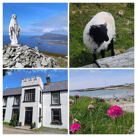 Zu sehen ist eine Collage von 4 Bildern. 
Bild 1 Eine Marienstatue auf einem Berg auf Achiil-Island 
Bild 2 ein Schaf auf seiner Wiese
Bild 3 das Valley House auf Achiil-Island 
Bild 4 Bunte Blumen an einer Küste