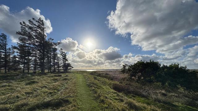 Naturlandschaft auf der Insel Hindø mit einem kleinen Wanderweg und von Wind gebogenen Nadelbäumen auf der linken Seite. Im Hintergrund ein blauer Himmel mit ein paar Wolken sowie der von der Sonne beschienene Stadil Fjord. 