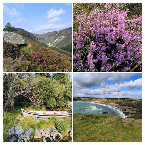 Zu sehen ist eine Collage von 4 Bildern. 
Bild 1 der Blick in die Wicklow Mountains 
Bild 2 Heide inden Wicklows 
Bild 3 ein Ruderboot am Loch Mask
Bild 4 Blick von grünen Klippen runter ins Meer