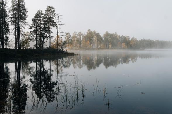 Nebel ĂŒber dem See