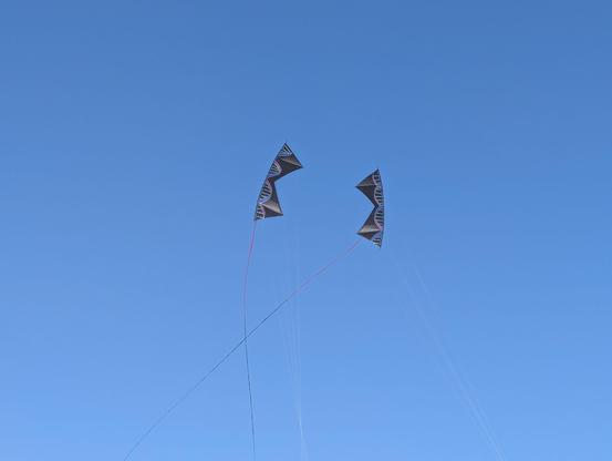 Two matching DNA quad one sport kites flying with a joined tail
