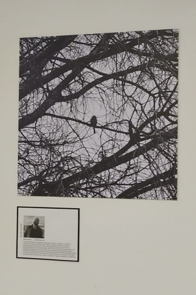 ✨ ¡Cuánta emoción! ✨ ¡Mi primera participación en una exposición fotográfica y poética en Brasil 🇧🇷❤️  La cuarta edición del “Foco en la Poesía”, un proyecto colectivo bajo la curaduría de la querida @lucilia_dowslley.oficial , se realiza en Río de Janeiro, Brasil. Participo en el libro y en la exposición con un poema y una fotografía, ambos titulados (Yo), en los que transformo mi experiencia de migración forzada en poesía.  Es mi primera publicación en portugués. Estoy inmensamente agradecido por todo el cariño, Lucília ❤️🙏🏽