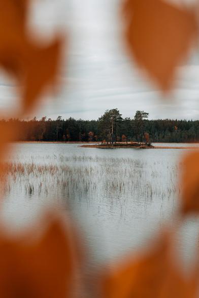 Insel zwischen herbstlich gefÀrbten BlÀttern