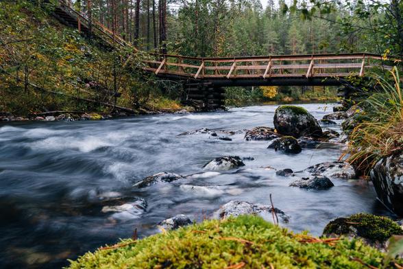 Eine HolzbrĂŒcke ĂŒber einen Bach