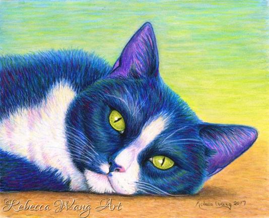 A colorful pet portrait of a black and white cat in rainbow colors.