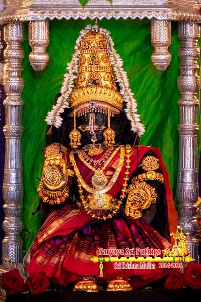 Closeup of idol of Hindu deity Krishna standing in red, with palms held in assurance posture in the manner of goddess Durga in the village of Kunjaarugiri near Udupi; wearing gold shoes, gold palm coverings, a tall gold crown, and lots of gold ornaments; placed inside a silver pavilion (not fully seen); a thin string of white jasmine flowers ear-ear over the crown. Green silk cloth background.