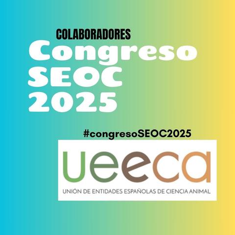 https://www.ueeca.es/quienes-somos/