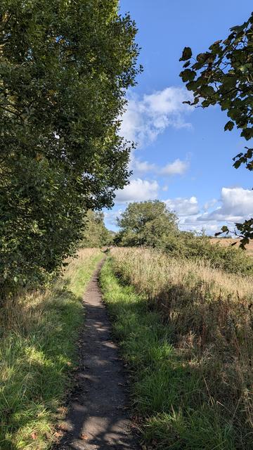 A straight path. Grass on the right. Trees on the left.