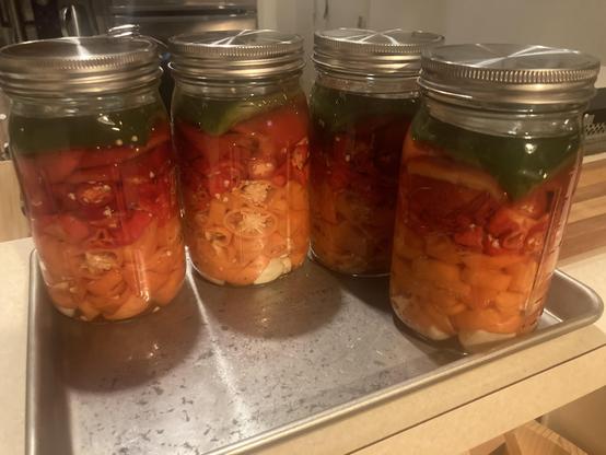 Four Ball jars full of peppers, colors from bottom: orange, red, green.
