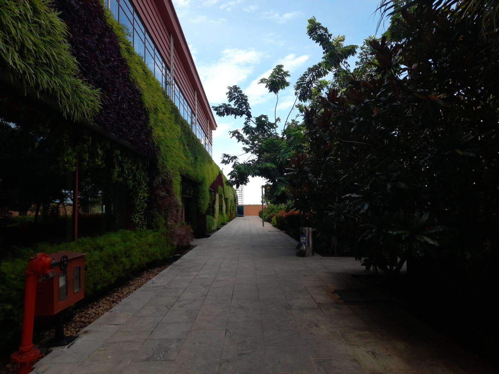 Another outdoor garden, as seen from the ground, inside Terminal 2 of Bangalore's Kempegowda International Airport. This garden is situated in a dedicated smoking zone, and also features a vertical garden running the entire length of the side opposite to the apron and the ground gates.