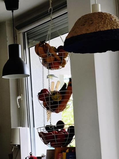 Vista desde dentro de la cocina hacia la ventana donde afuera se ve un pájaro pequeño buscando comida