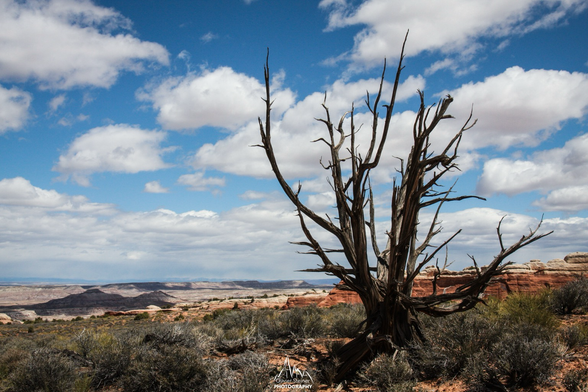 Arches NP