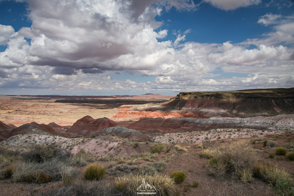 Overlook in the Painted Desert