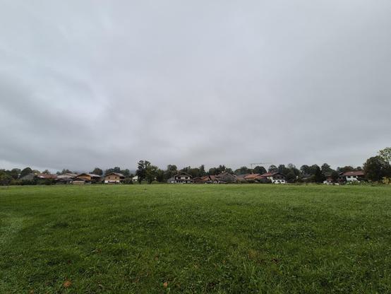 A serene countryside landscape featuring a lush, vibrant green meadow stretching towards a row of charming, cozy houses nestled among trees, under a soft, overcast sky that adds a peaceful ambiance to the scene.