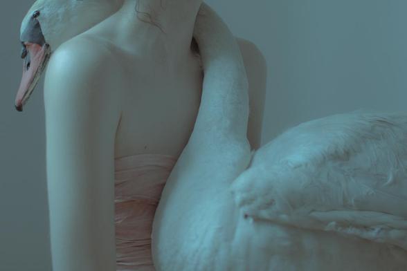 Portrait du torse d'une femme avec un cygne entouré autour