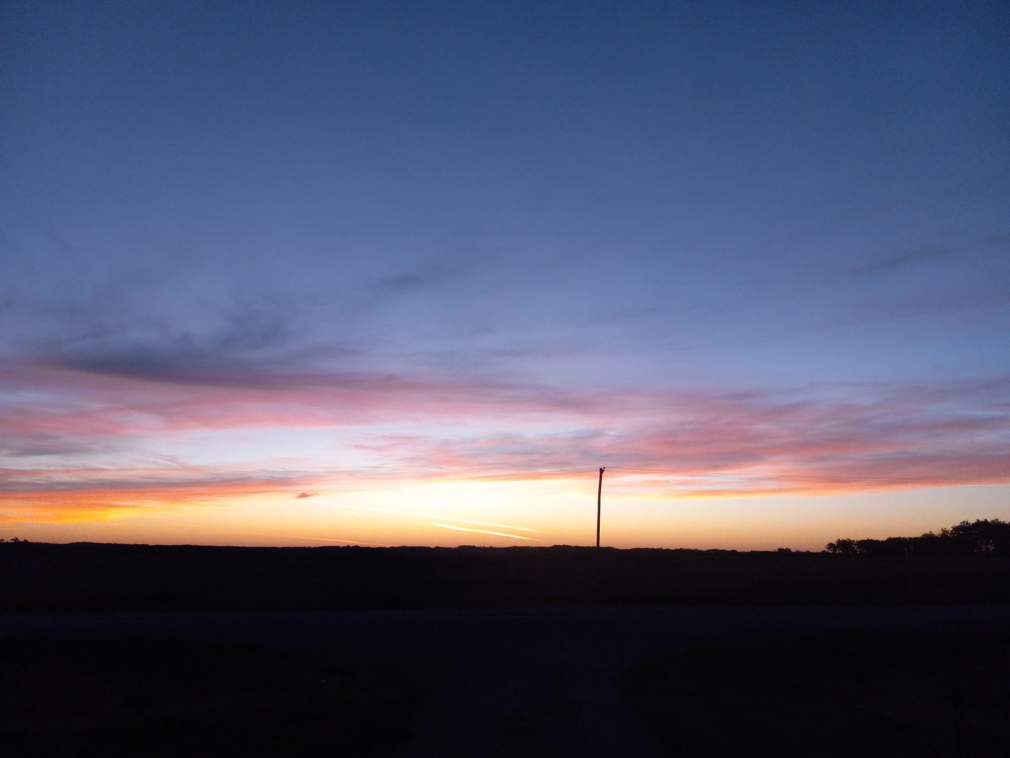 The early dawn sky, with dark blue above, yellow on the very flat horizon, and pink clouds in between.