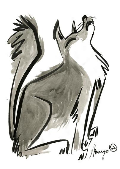 A wolf drawn in black East-Indian ink. He is sitting down and howling, his tail stands up. 