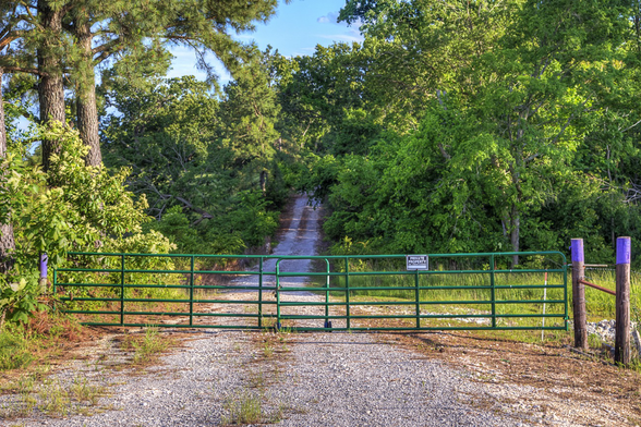 A rural dirt road is blocked by a green metal gate, surrounded by lush green trees and vegetation.