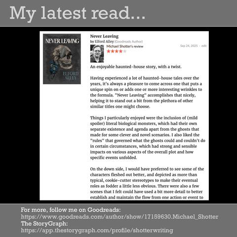 An excerpt from Michael Shotter's Goodreads review of Elford Alley's book "Never Leaving"