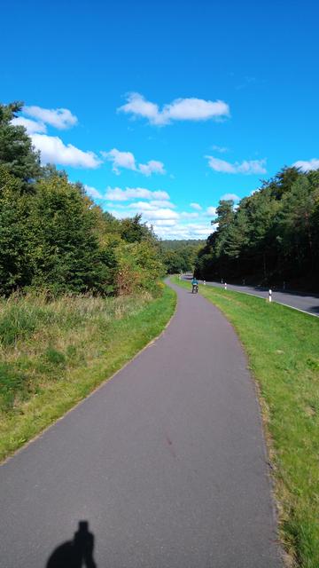Asphaltradweg im hügeligen Gelände. Links davon Waldgebiet, rechts breiter Grünstreifen bis zur Kreisstraße.