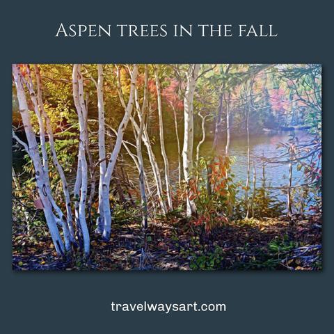 Aspen Trees in the Fall — Winner of 3rd Place in the Autumn 2025 Logo Contest for The Nature of Canada. White aspen trunks with autumn foliage and water reflections capture the beauty of Canadian fall.