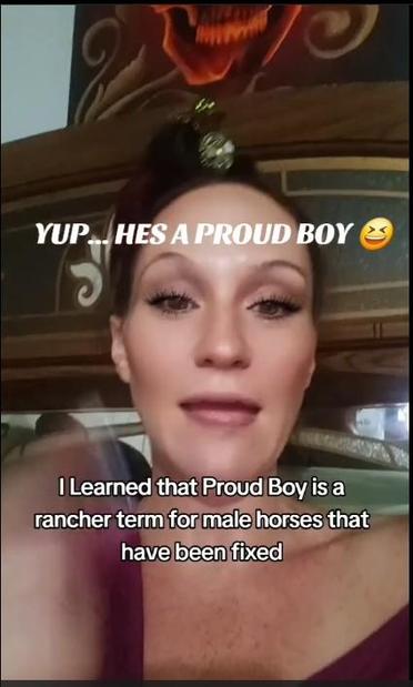
I learned that Proud Boy is a
rancher term for male horses that
have been fixed
