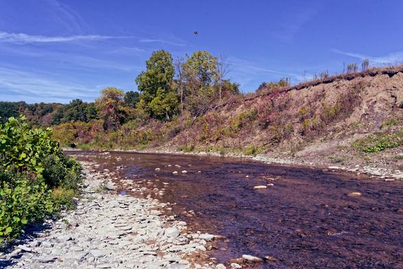 A creek curves from the lower right of the image towards the center left.  The first half at the bottom is a rocky beach that gets thinner and disappears from view halfway up the frame,  obscured by a patch of green vegetation;  there are a few rocks sticking out of the brown looking water,  above that is a dirt bluff which looks bare to the right side,  has a few trees on top of it near the center,  and has a forest in the background on the left side.  Above all a blue sky with filamentous clo…