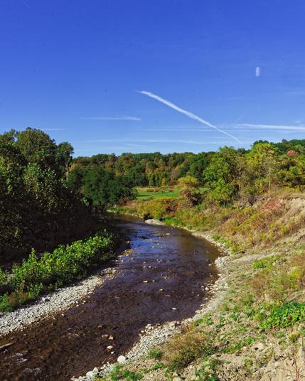 A creek enters from the lower left, goes through the center of the frame,  and curves nearly 90 degrees to disappear behind a tall stand of trees.  A few rocks stick out of the creek and both sides have a rocky shore with some short vegetation before the trees on the far (your left) side,  the near side (your right) is a not-so-steep cliff with bits of brown dirt and yellow and green vegetation,  some trees starting to turn color and past that a bright green field framed with trees on both side…