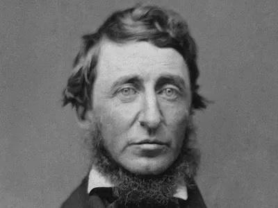 Саме краса в нас ...
Генрі Девід Торо

It's the beauty within us ...
Henry David Thoreau
https://buymeacoffee.com/valdeloir/mudosoniso

#краса #сприйняття #внутрішнійсвіт #мудрість #ГенріДевідТоро
#beauty #perception #innerworld #wisdom #HenryDavidThoreau