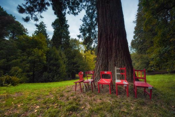 Ein Parkblick mit einem riesigen, alten Baumstamm in der rechten Bildhälfte, dessen dunkle, raue Rinde fast die gesamte Höhe des Bildes einnimmt. Am Fuss dieses Baumes stehen fünf rote Stühle in einer Reihe. Die Stühle sind leicht verwittert und stehen auf einem von Gras bewachsenen Boden, der nach vorne hin leicht ansteigt und etwas Laub und Moos zeigt. Links und rechts des Baumriesen erstreckt sich dichtes Parkgelände, wobei die Bäume links dunkler und rechts heller, schon leicht herbstlich gefärbt sind. Das Licht ist gedämpft, aber lenkt den Blick auf die leuchtend roten Stühle.