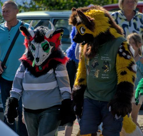 Fursuiter mit Schädelmaske neben einen Hyeenen Fursuiter mit einem Tshirt welches erklärt was alles keine Hyeene ist