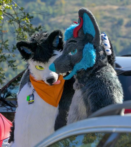 Zwei Fursuiter in einer Fursuit Parade.
der Linke Fursuiter hat die Pfote am Hinterkopf des anderen