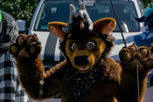 Bär Fursuiter in einer Fursuit Parade mit beiden Pfoten oben