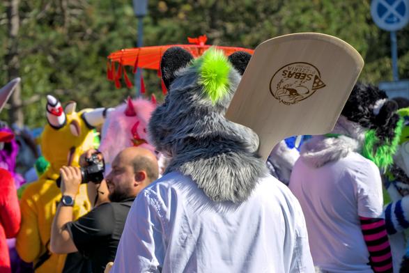 Waschbär Fursuiter von hinten mit Custom Pizza Schieber