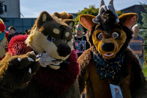 Zwei Bärfursuiter
