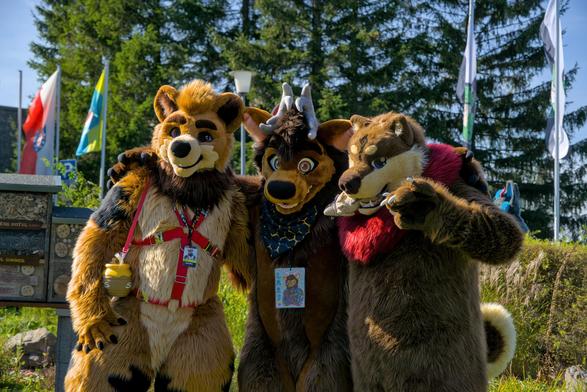 3 Bärenfursuiter