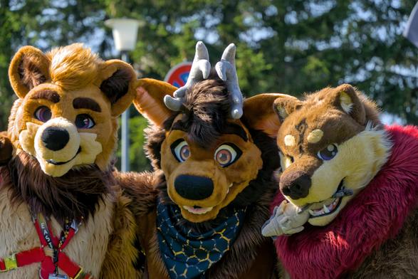 3 Bärenfursuiter