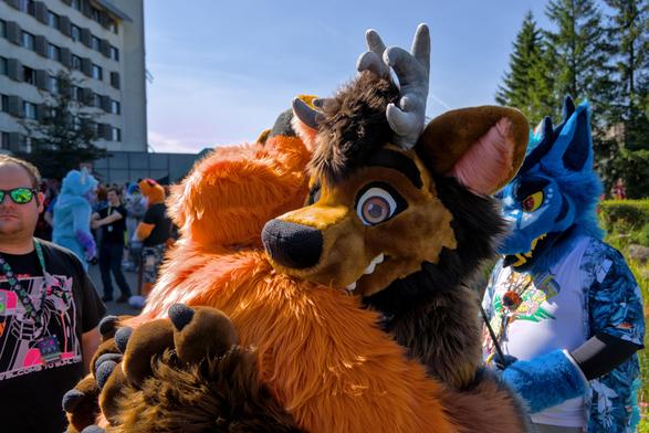 Fuchs und Bär Fursuiter umarmen sich