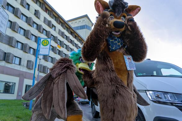 Enten Fursuiter beißt Bären Fursuiter in den Nub