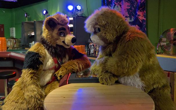 Zwei Bären Fursuiter an einer Bar 