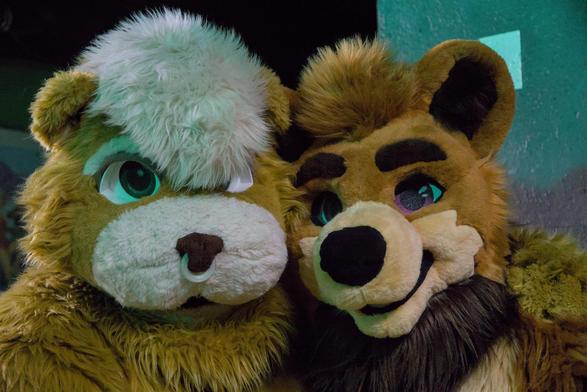 Zwei Bären Fursuiter