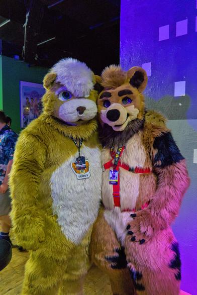 Zwei Bären Fursuiter