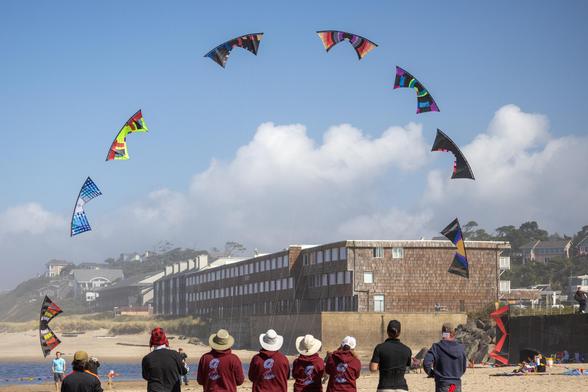 9 quad-lined kites forming an arch in the background. The 9 kite fliers in a line in the foreground 